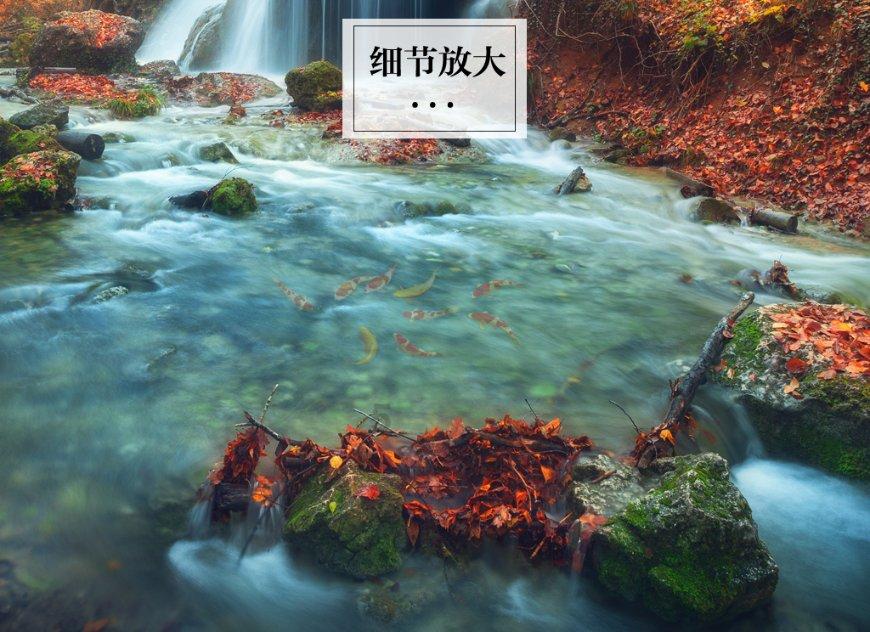 探索无限可能,尽在使用热波炉加热食物可以不用给水吗?问答交流平台!